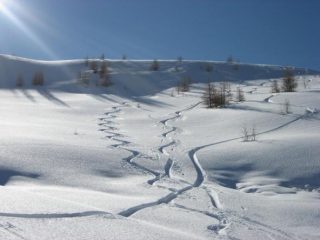 una vallata di farina vergine