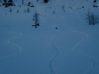 Curve in farina nella parte alta