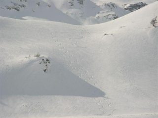 ultimo pendio prima del piano che porta al bosco