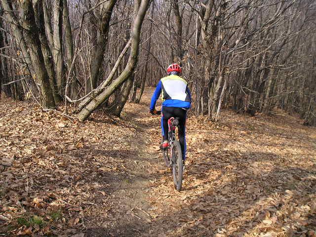 sul sentiero dei tralicci