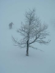 momento di salita nella nebbia