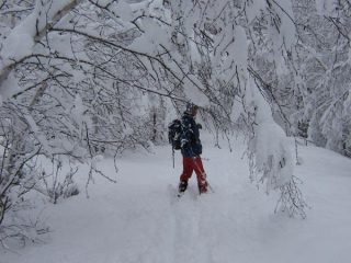 Neve, finalmente neve!