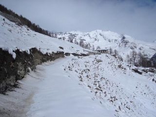 La carrareccia arriva all'alpeggio