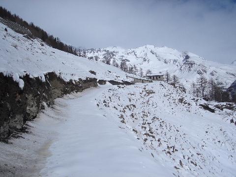 La carrareccia arriva all'alpeggio