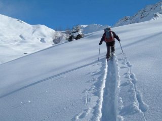 all'uscita dal bosco