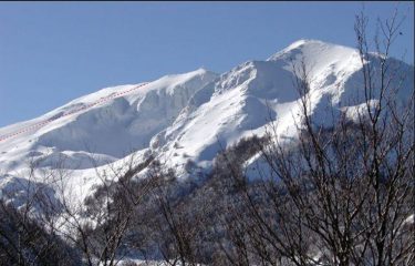 M. Miletto