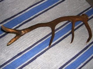 ecco cosa abbiamo trovato lungo il percorso