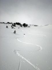 QUALCHE RICAMO....