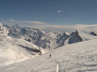 I pendii terminali del Wildstrube Gletscher