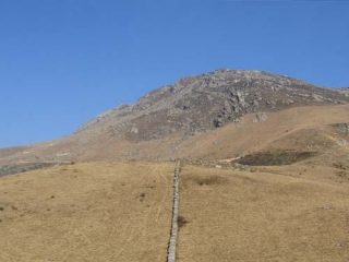 In partenza per il Lion