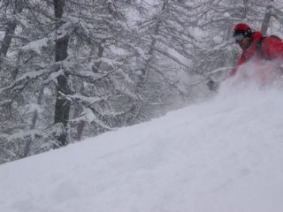 Scendendo tra i pini con la neve alla vita!!!