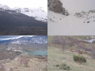 Via di discesa-Barrea-Cervi