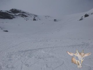 il canale che scende diretto dalla cima.