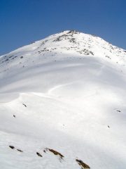 Il Rognoso dal colletto
