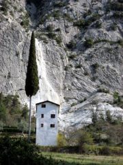 La casa strana con il cipresso strano