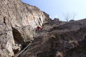 carlopell su L1