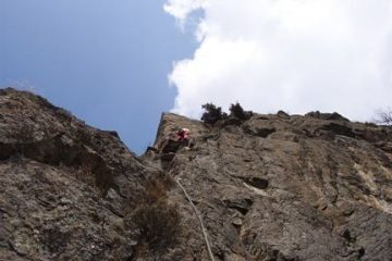 carlopell su L5