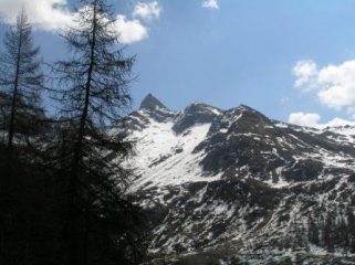 a sinistra la becca trecarè