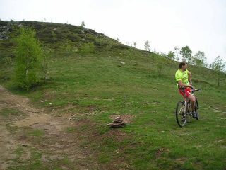 testa brusa
