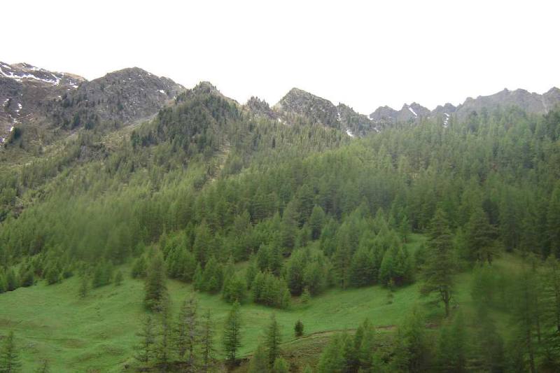 il monte clausis è al centro della foto