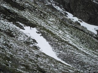 ...ecco la sorpresa