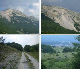 1)M.Porrara 2) 