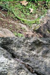 Incontri ravvicinati.