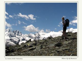 quasi in vetta al monte herban