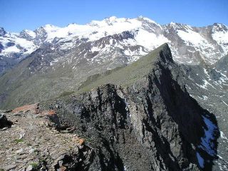 testa tsa plane vista dal m.erban con sfondo sul gruppo del gran paradiso