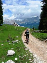 in azione nei pressi della malga Fedèra