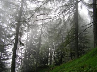 Magica atmosfera...