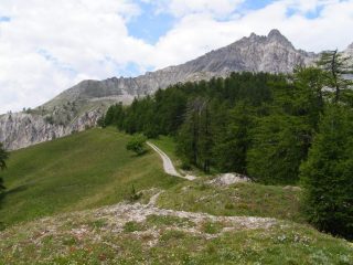 La strada sconnessa continua