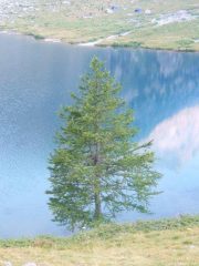 Riflessi al Lago del Laus