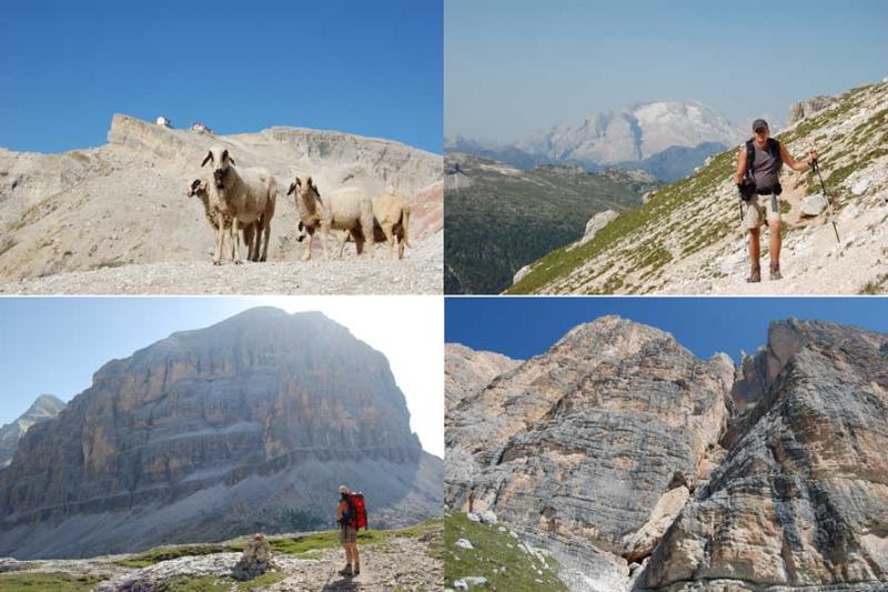simpatico incontro; la marmolada; al cospetto della tofana; la parete sud(una parte!)