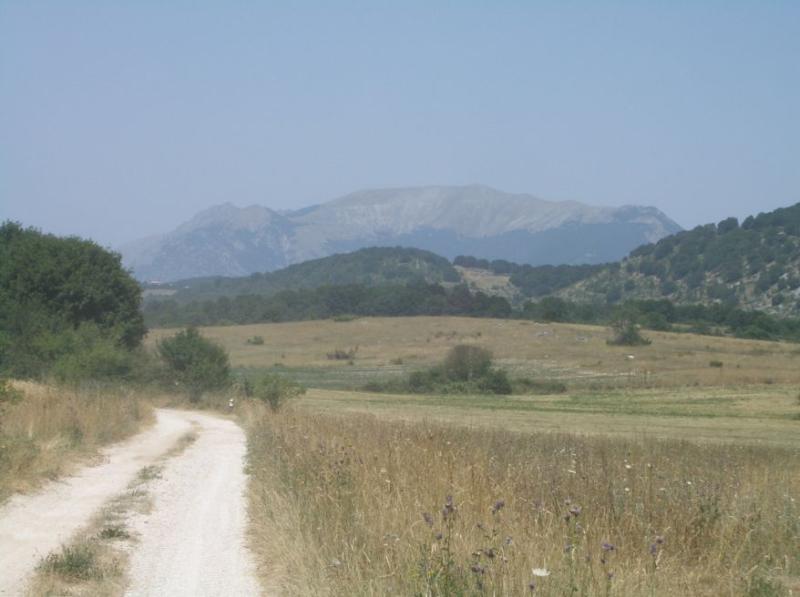 La forestale di Piano Cerreto,con panorama sul Mileto (Morrone)