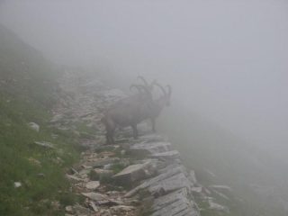 Putroppo brutto tempo... ma tanti compagni di salita!