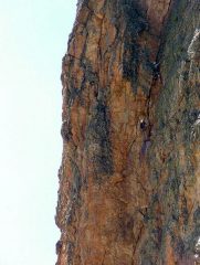 Sulla L2 del Calcagno