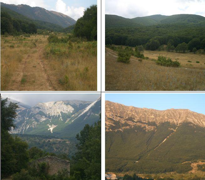 1)in Vallepiana 2)in V.Spera verso il Pizzalto 3)casa diruta in località S.Angelo 4)Vallone Bianco del Porrara