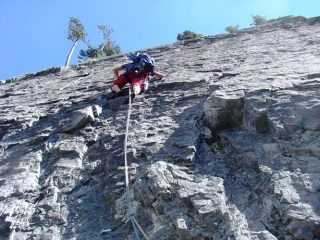 Dany attaccala la L7