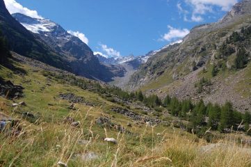 dall'alpe valeille verso la testata del vallone