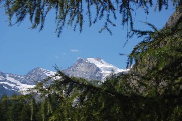 testa di gran crou e della tribolazione