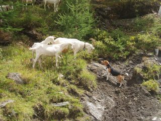 incontro fuori programma