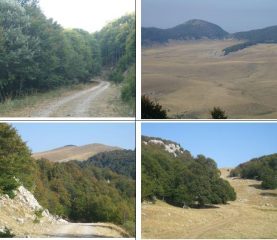 1)nel Bosco Carboniere 2)La piana dal valico di q.1674 3)Vetta da Pietraflora 4)Nella valletta Pietraflora