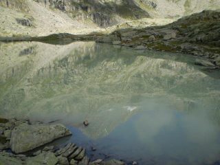 il ciarforon nel lago di ciamosseretto