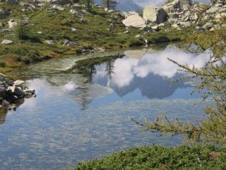 Le Levanne nel laghetto