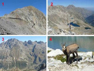 1. La cima dal colle omonimo; 2. vetta; 3. gruppo dell'argentera; 4. camoscio