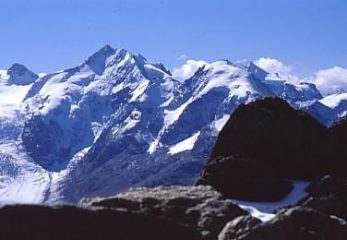 Piz Bernina dalla vetta