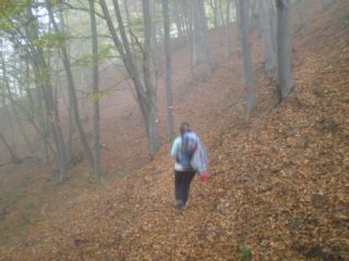 l'avvicinamento è reso suggestivo - leggi spettrale- dalla nebbiolina