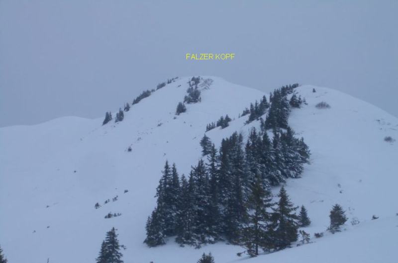 Falzer Kopf