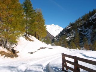 Dalla cascata del Pis verso il fondovalle